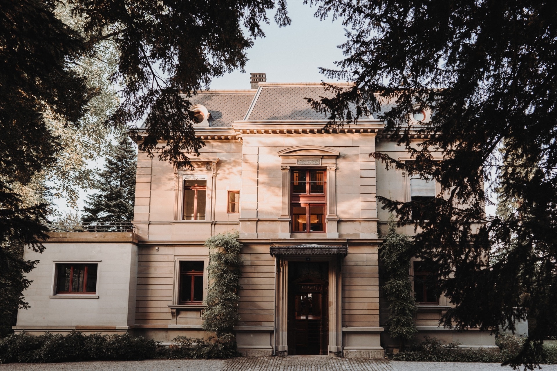 Professional tax advisory consultation